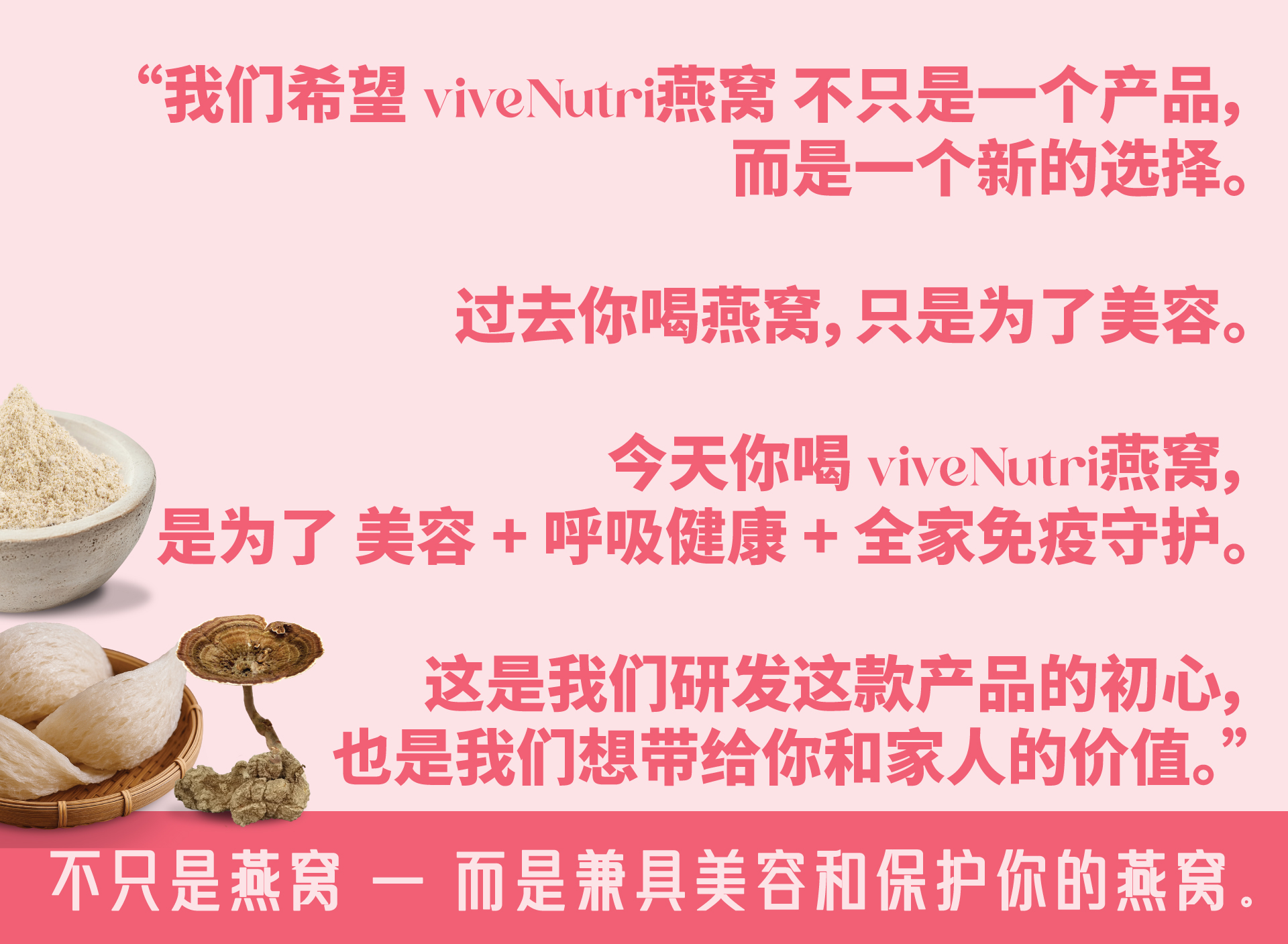Bird's Nest Specials