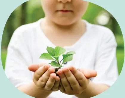 Child holding a young plant