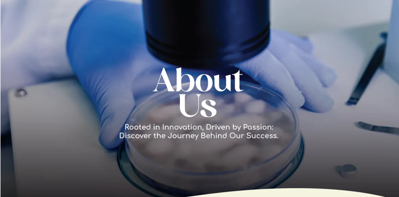About Grusonn – Rooted in Innovation, Driven by Passion: Discover the Journey Behind Our Success