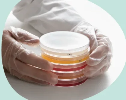Grusonn mushroom research sample